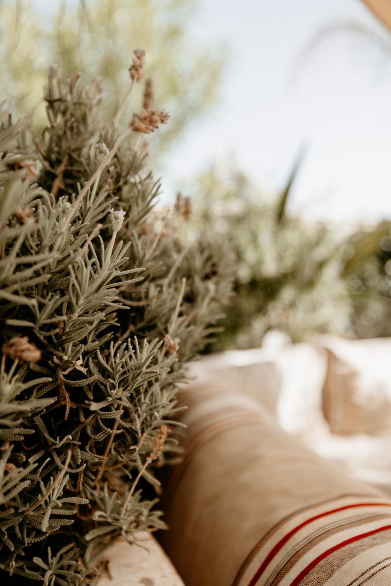 Riad K-White Marakeş Dış mekan fotoğraf
